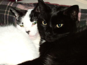 Mu didn't have any hard feelings though