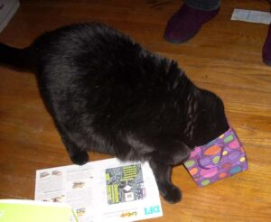 What you hiding in here?