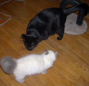 This is what mommy was looking for?